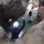 Canyoning - Ravin de Balène - 2