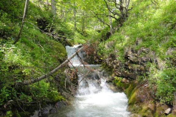 Canyoning - Ravin de Valdemars